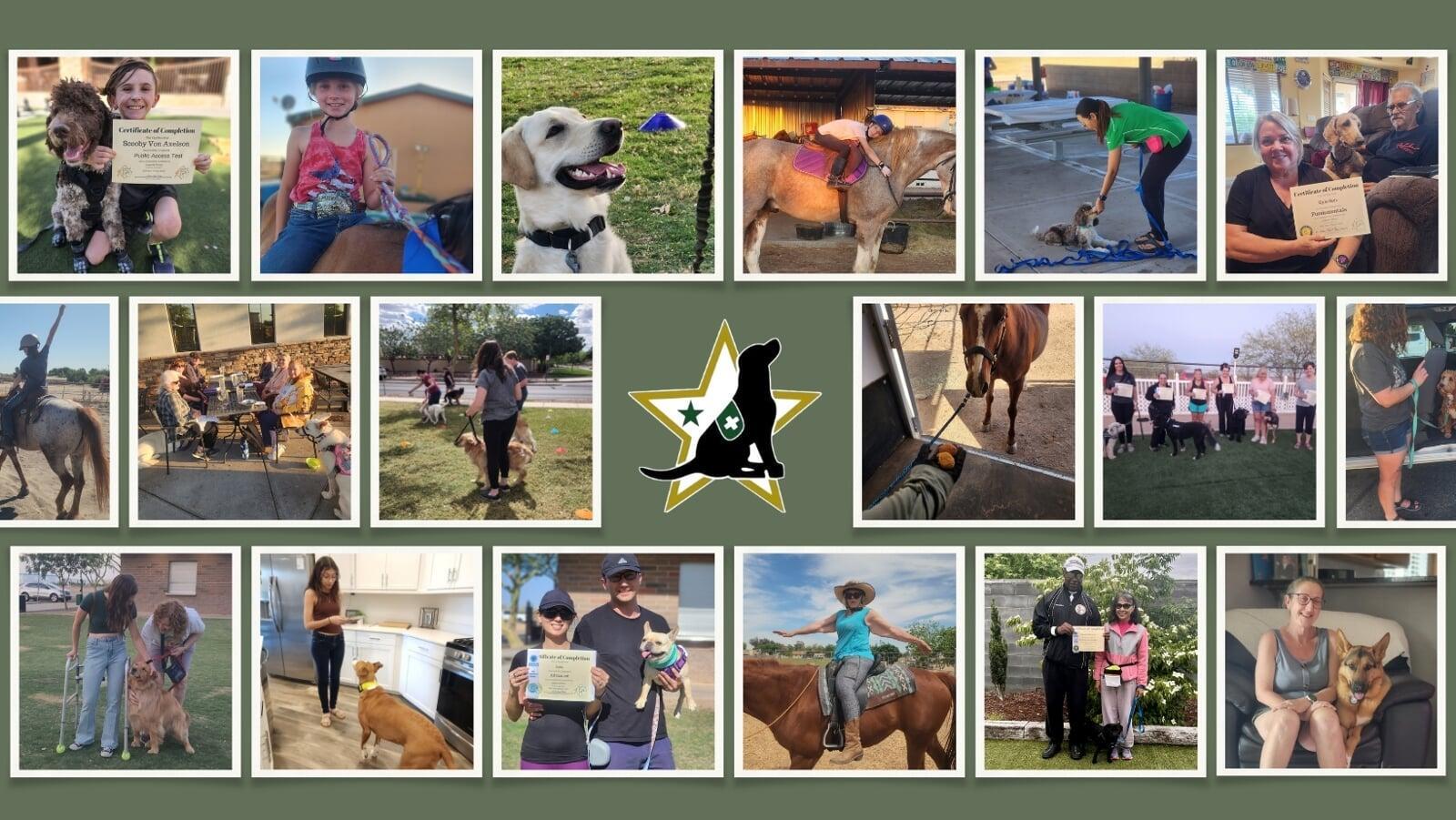 Join the Legend Acres Volunteer Community: Empower Healing Through Animal-Assisted Support in Arizona